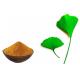 Water Soluble Ginkgo Biloba Leaf Extract With Low Pesticide Residue