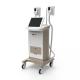 2018 Newest factory itself 15 In screen 2 handles cryolipolysis fat freeze slimming machine