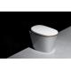 Ceramic Material Auto Wash Toilet Warm Water Washing Remote Control Design Smart toilet