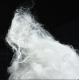 Raw White Siliconized Polyester Fiber Virgin 2.5D Fineness