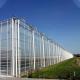 Agriculture Plants Growing Multi Span Venlo Glass Greenhouse With Cooling Pad