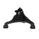 2005- Nissan Pathfinder Car Suspension Parts Front Lower Control Arm with E-Coating