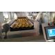 Tablet And Capsule Paintball Counting And Packing Machine 10bag/Min