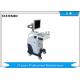 Veterinary Clinic B/W Trolley Ultrasound Diagnostic System For Small Dogs And Cats