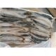 75g 80g Gutted Shape Frozen Mackerel Fish For Bait