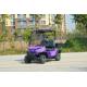Blue 2-Seater New Energy Electric Cargo Golf Cart Classic With LIthium Battery Support Customization