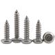 304 Stainless Steel Tamper Resistant Torx Rounded Head Self Tapping Screws for Lamps