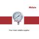 Precision Stainless Steel Liquid Pressure Gauge Normal Two Piece Screwed