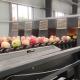 Stainless Steel Fruit Sorting Machine 50 - 150mm Size 220V / 50Hz Power