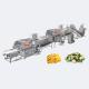 Easy To Operate Fruit Vegetable Processing Machine Automatic Industrial 400kgkg/H