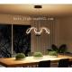 Modern  LED Pendant Light  With Lamp For Home Decoration Chome