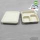 3-coms Square Lunch Tray with Lid - Biodegradable, Compostable & Chemical Free  Bagasse Sugarcane Fiber Product