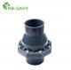 PVC Non Return Check Valve for Chemical Industrial Series Pn16 DN15-200 DIN Standard