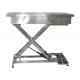 Electric Lifting Veterinary Stainless Steel Surgical Table , Veterinary Dental Table