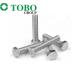 Grade 8.8 Stainless Steel Bolts with Hex Head and Polish Finish