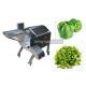 Kitchen Chilli Onion Dicer Machine With 2000~3000KG/H Capacity