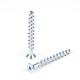 White Zinc Plated Carbon Steel Hex Head Concrete Screw Bolts Anchor for Decoration System