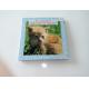 Animal touch and feel board book for children