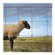 Iron Metal Type Farm Field Fence for Sheep and Goat Animals at 1.2 m x 100 m Size