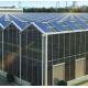 Commercial Photovoltaic Greenhouse with Film Cover Material and Unheated Heating