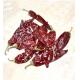 Smooth Texture 7-19cm Dried Paprika Peppers With Air Dried Sun Dried Process