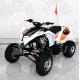 250cc Quad Four Wheeler Water Cooled Youth Racing ATV