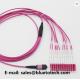Violet MTP To LC 12 Core OM4 Fiber Optic Patch Cord Multi Mode