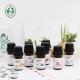 Multifunctional Aromatherapy Essential Oil Set