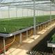 Section 4m-5m Greenhouses The Ultimate Solution for Commercial Soilless Cultivation