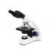 40X - 1600X Modern Compound Microscope CE