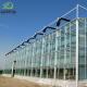 Space Hydroponic Greenhouse with Double Layer Venlo Glass Wall and Continuous Heating