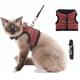 Cute Cat Harness Collar With Heavy D Rings