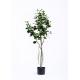 Ideal Artificial Topiary Trees Fabricated Tropical Landscapes For Hotel Decor