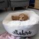 Cream Striped Snuggle Calming Dog Bed OEM ODM Covered Dog Bed Calming Dog Bed Dog Mattress Bed