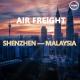 Shenzhen To Malaysia DDU Air Freight International Air Cargo Services