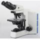 Binocular Laboratory Biological Microscope Multi Function With 360° Rotatable