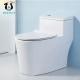 Modern Design Style Singular Toilet Tank for Customer Requirements