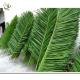 UVG PTR010 Artificial Coconut Tree Leaves outdoor landscaping green plam