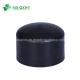 Black Oxide Finish HDPE Butt Fusion End Cap Fittings for Water and Gas Supply System