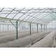 Irrigated Clear Cooling Poly Plastic Film Greenhouse