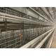 Galvanized  Automatic H Type Layer Chicken Cage System Easy Daily Management