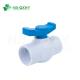 1/2-4 PVC UPVC Water Socket/Thread Ball Valve in White Body for Irrigation from Algeria