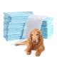 Item Type Puppy Pet Urine Absorbent Pad Competitive Prices for Customer Requirements