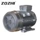 Hydro Series Horizontal Hollow Shaft Electric Motor Portable For High Pressure