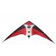 5bft Swing Nylon 120x60cm Custom Printed Kites