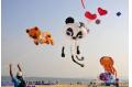 Fifth Dameisha Int'l Kite Festival kicks off in Shenzhen