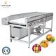 2021 Prickly Pear Fruit Washing Polishing Cleaning Machine with Stainless Steel 304