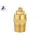 Natural Color 16 Bar Male Brass Isolation Valve ISO228 Brass Safety Valve