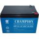Champion AGM battery 12V14AH/12V18AH/12V20AH Sealed Lead Acid storage battery toy battery