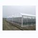150/200 Micron Plastic Film Multi Span Greenhouse For Vegetable And Flower Growing